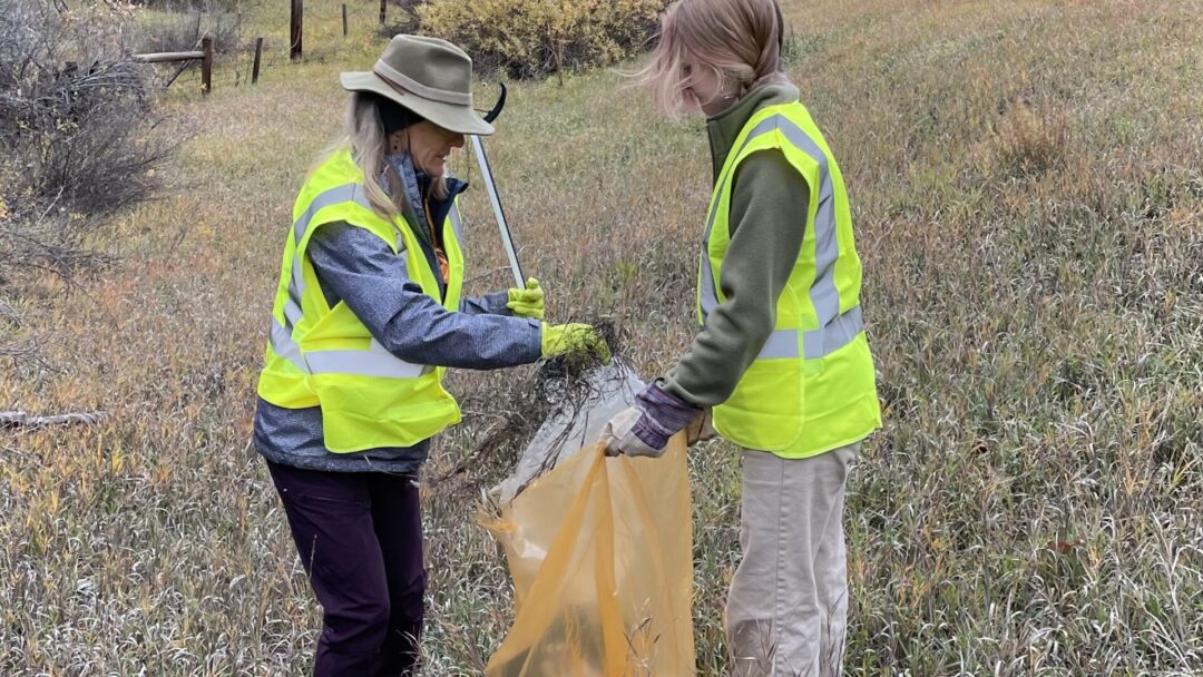 Highway Cleanup on Saturday, November 9 at 9:30am. Lunch will be Provided